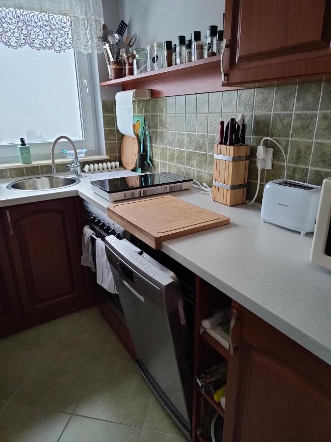 Apartament Zlap Oddech Zakopane Exteriér fotografie
